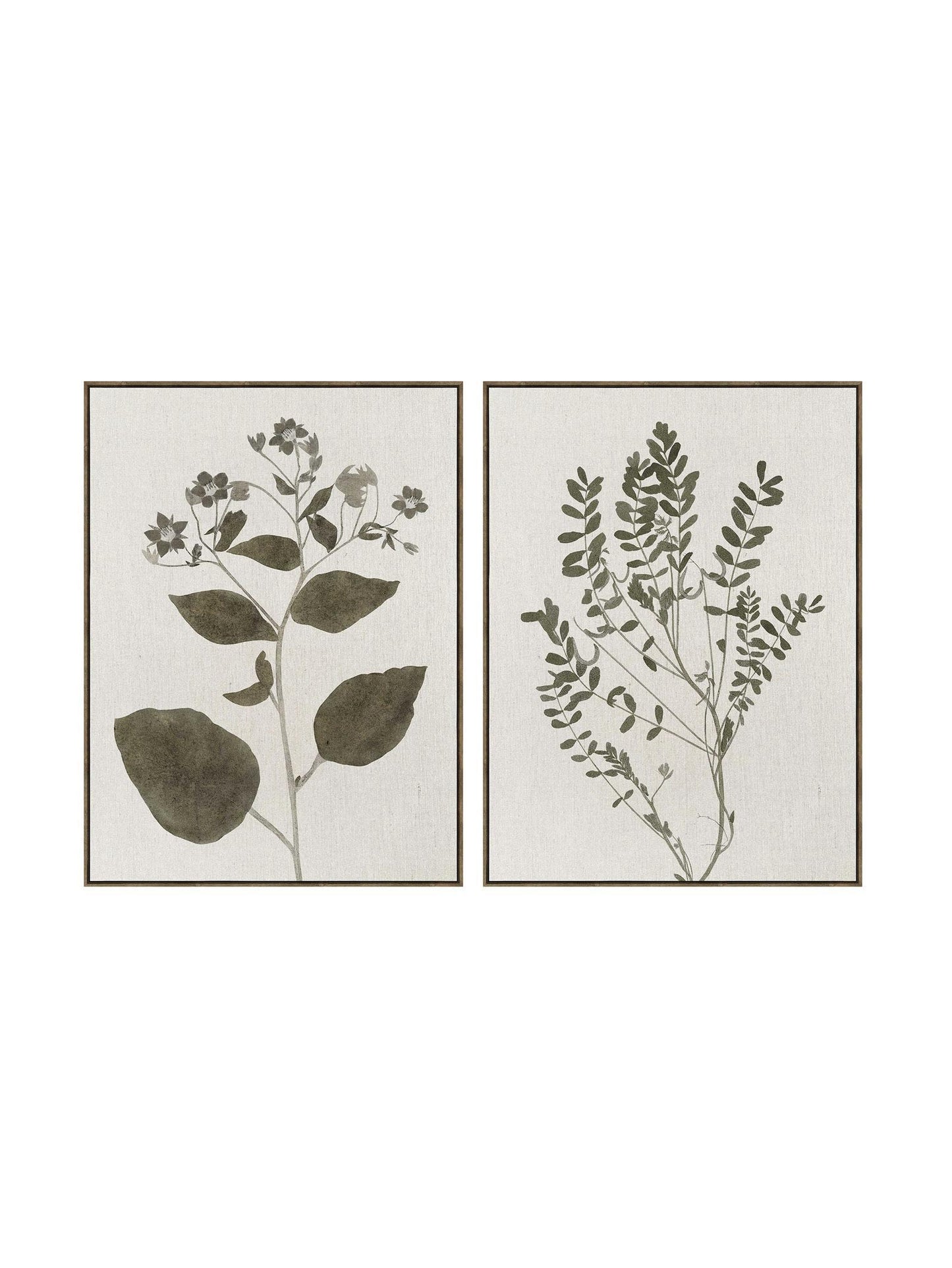 Olive Botanical Wall Art – Set of 2