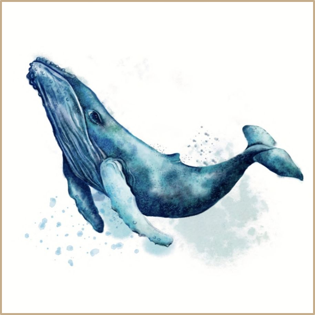 Watercolor illustration of a whale on a white background