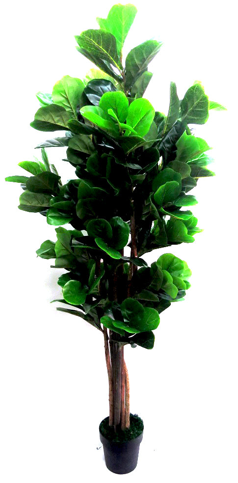 fiddle leaf fig south africa Artificial Fiddle Leaf Fig Tree South Africa – Faux Indoor Plant