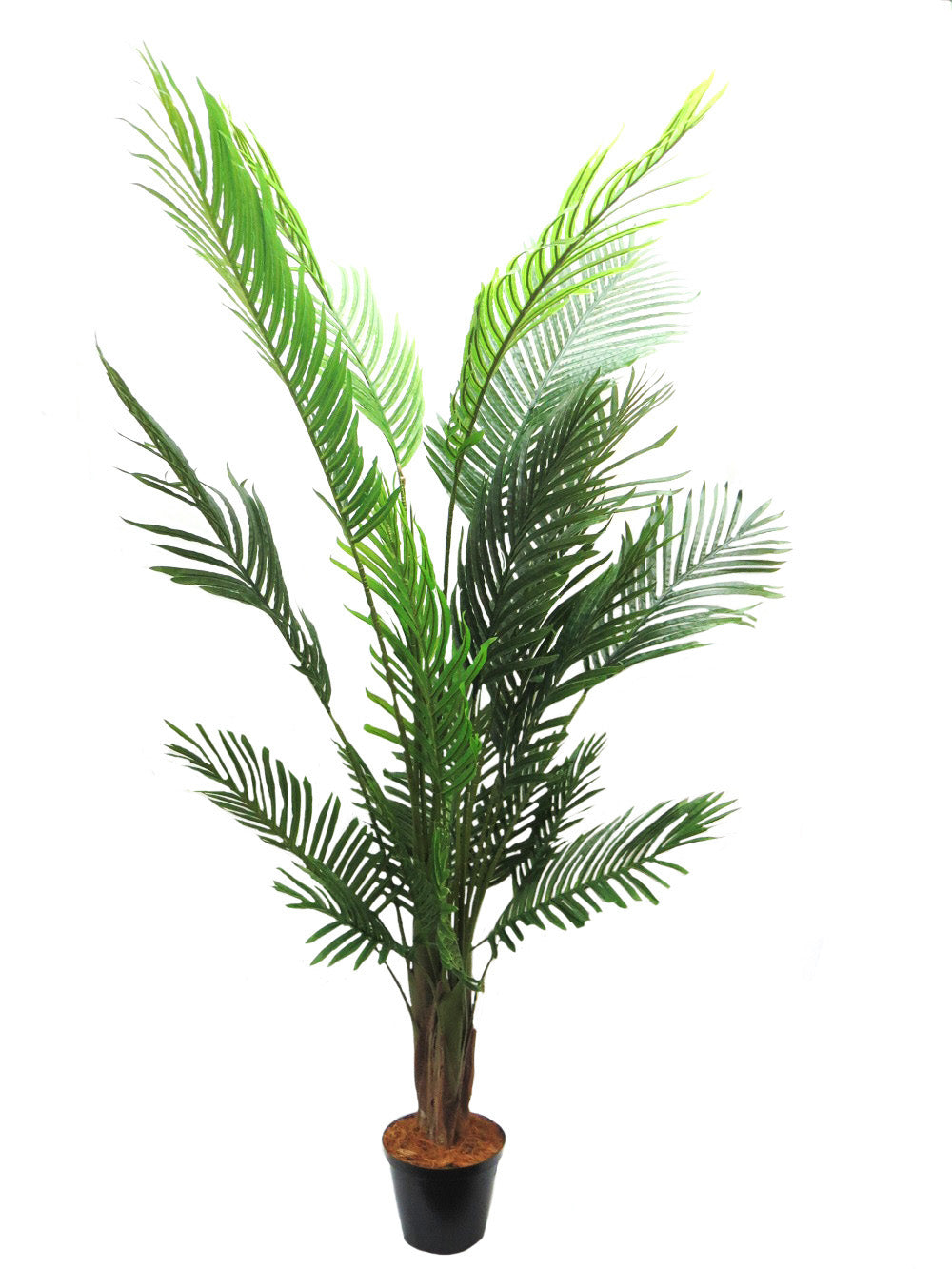 Areca Palm Tree 120cm