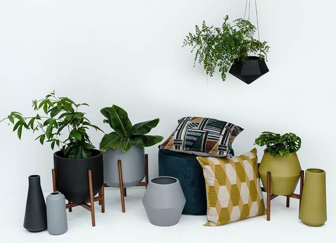 Planters/Vases - Pot plants