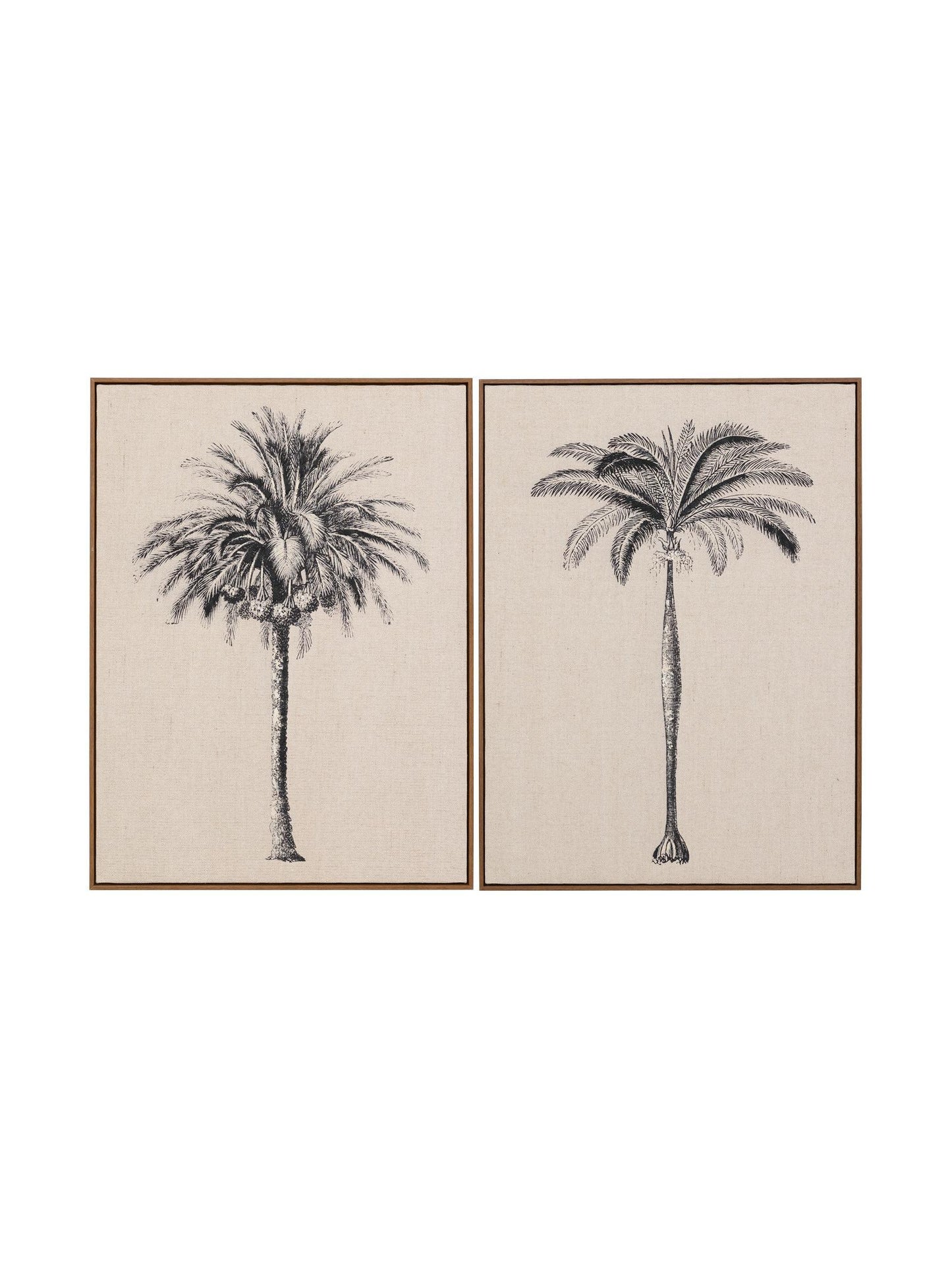 Two framed illustrations of palm trees on a beige background
