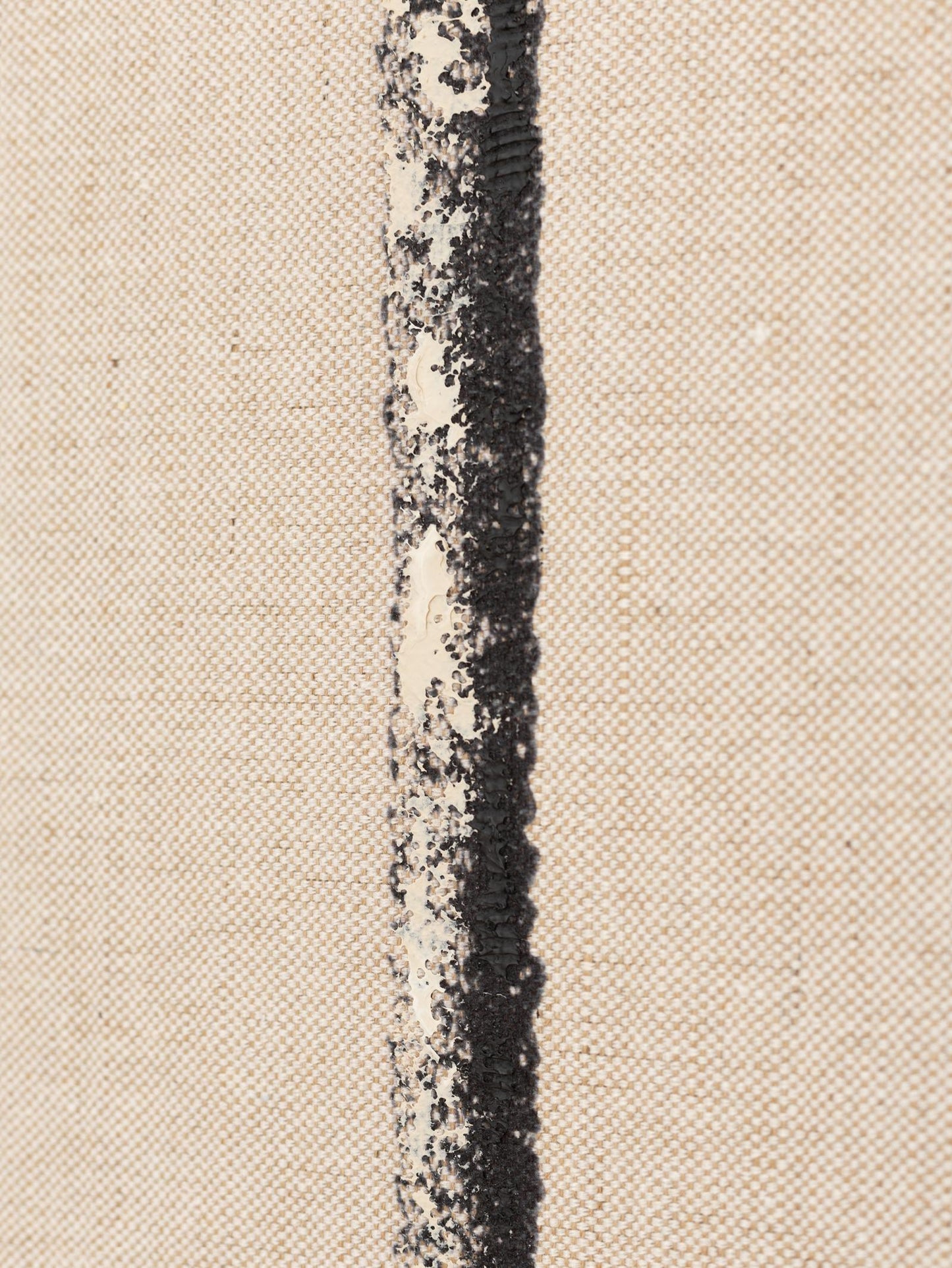 Coastal Botanical Palm Wall Art – Set of 2