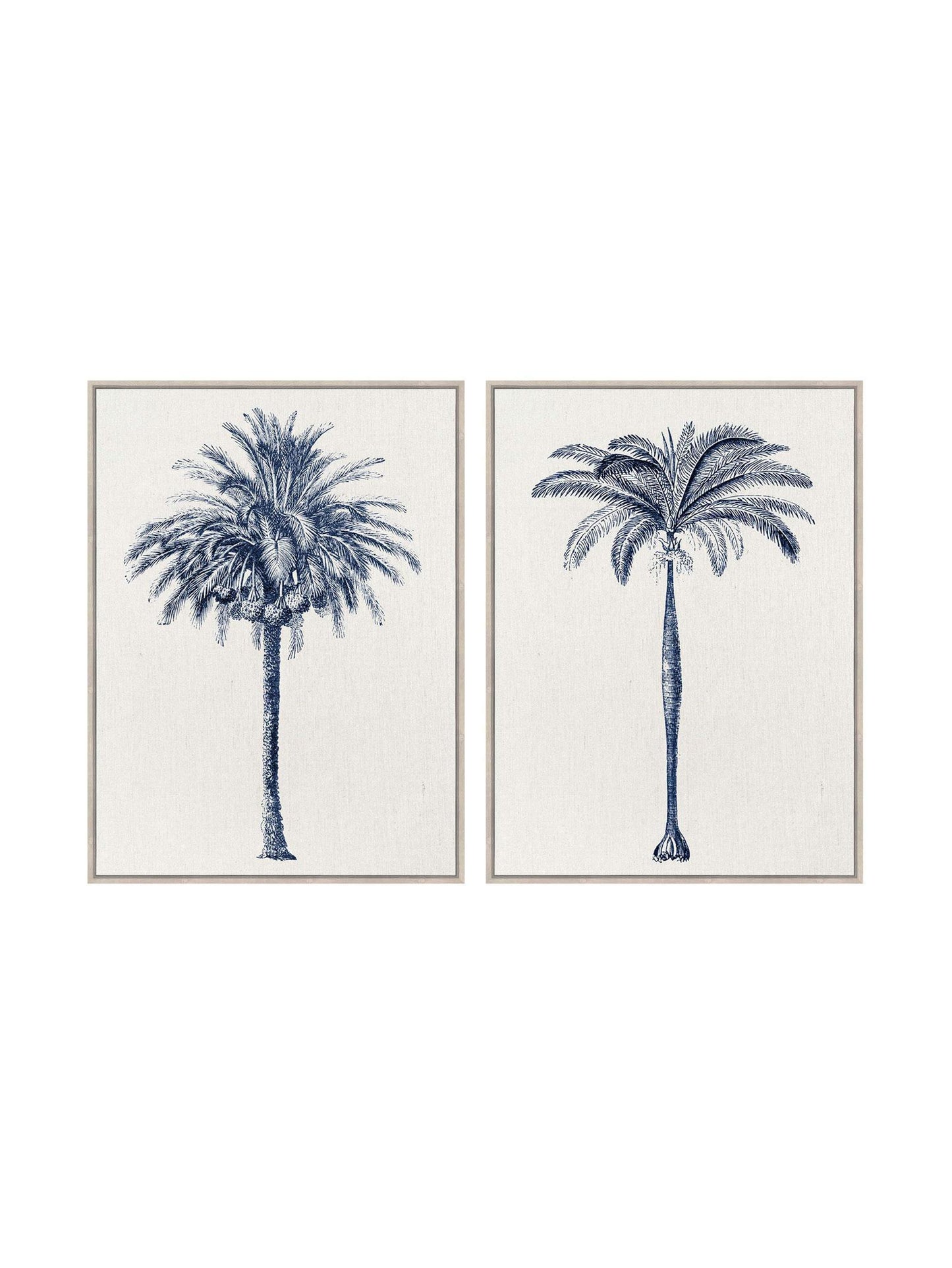 Two framed illustrations of palm trees on a white background
