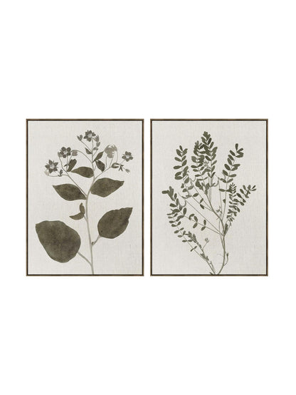 Olive Botanical Wall Art – Set of 2