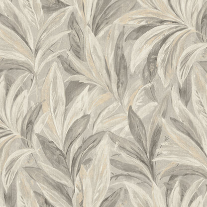 Calypso Wallpaper
