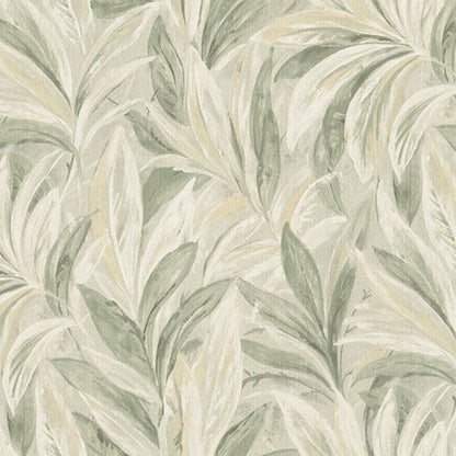 Calypso Wallpaper
