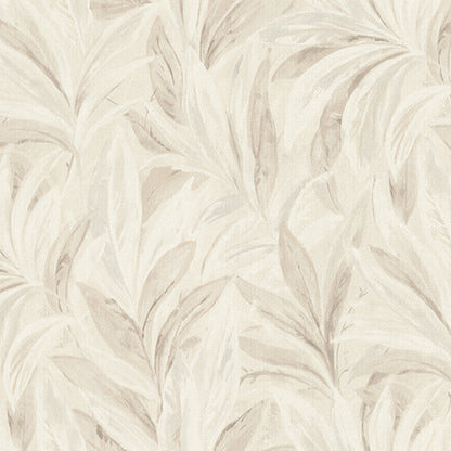 Calypso Wallpaper