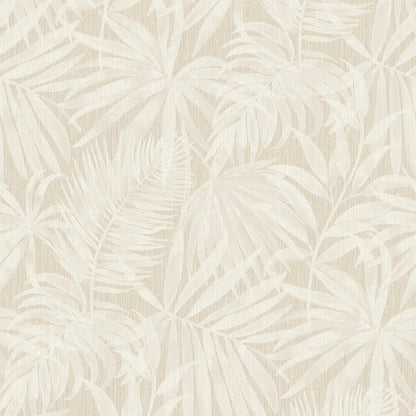 Wallpaper: Coco Beach