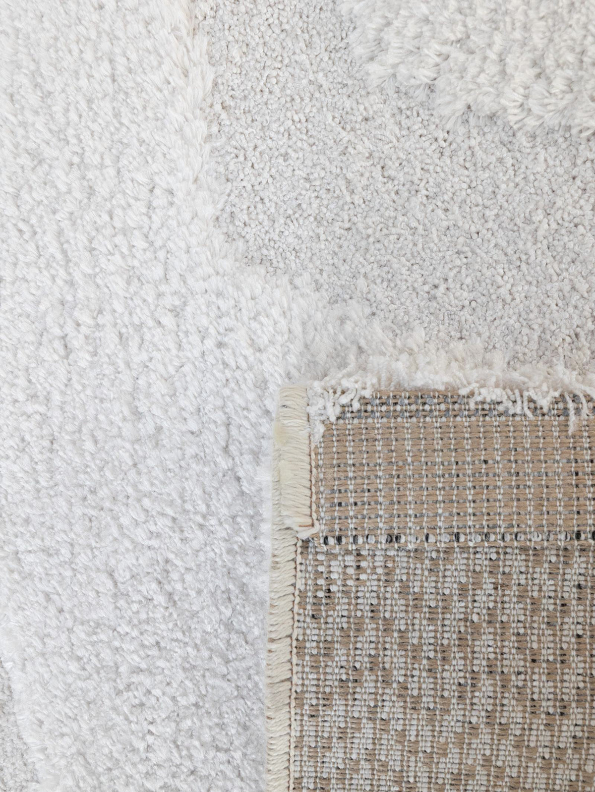 Enliven Indoor Rug