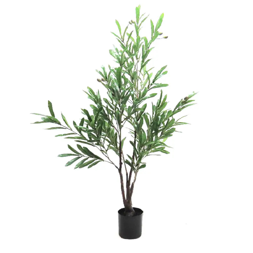 Olive Tree 120cm