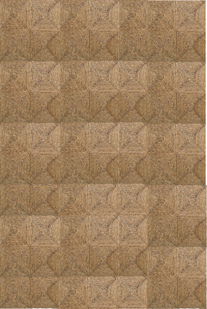 Seagrass Rugs