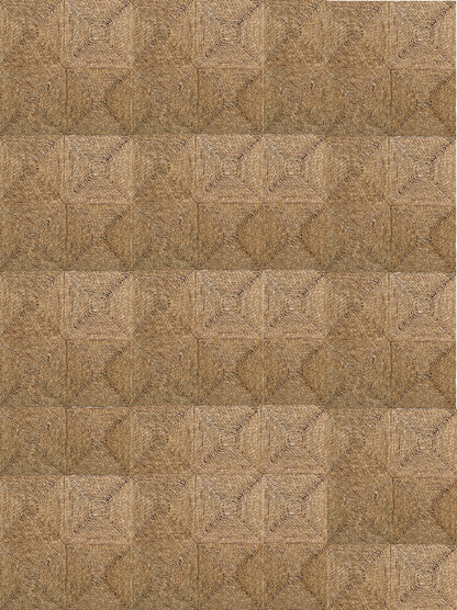 Seagrass Rugs