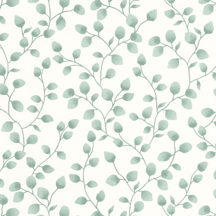 A wallpaper with a green background featuring a pattern of white eucalyptus leaves.