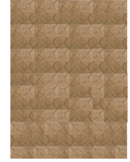 Seagrass Rugs