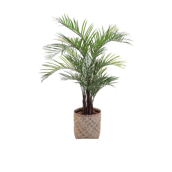 Artificial Areca Palm