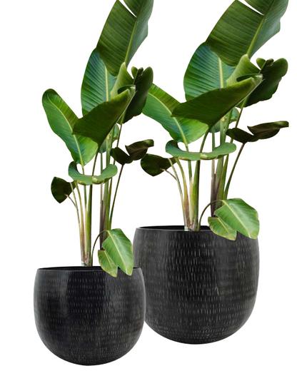 Planter pots - rustic imprint