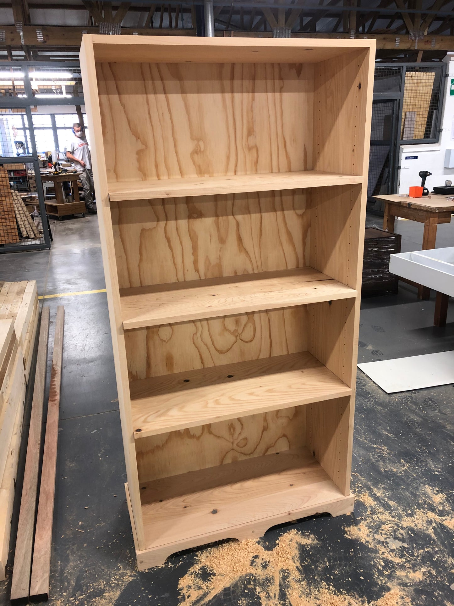 Custom Cabinets / Bookshelves