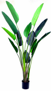 Artificial Strelitzia  Plants