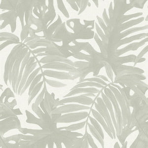 Wallpaper Monstera Island Sage
