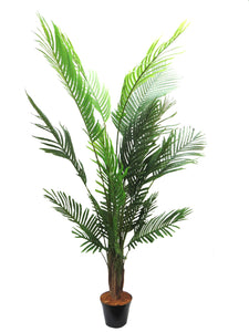 Palm Trees (life-like)