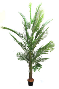 Palm Trees (life-like)