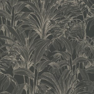 Wallpaper : Palmbloom