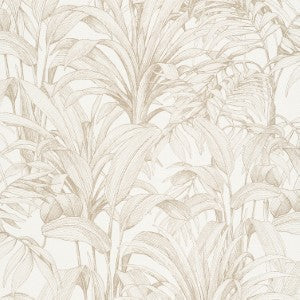 Wallpaper : Palmbloom