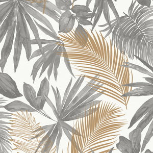 Wallpaper : Tropics