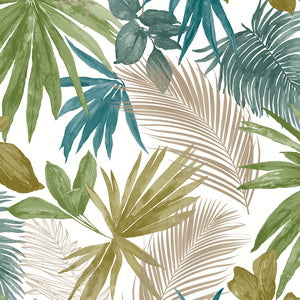 Wallpaper : Tropics
